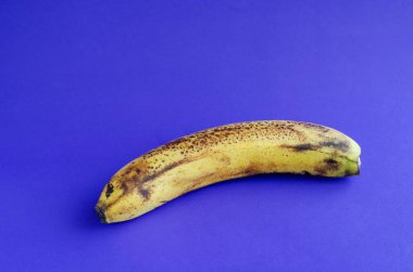 Mavi arka planda kahverengi benekli, olgunlaşmış bir muz. Muzlu ekmek, tatlı ve diğer yemekler için malzemeler. Sağlıklı beslenme. Seçici odak