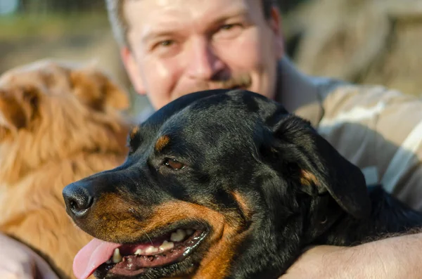Köpeği Kucaklayan Olgun Bir Adamın Portresi Rottweiler Kırmızı Melez Köpeği — Stok fotoğraf