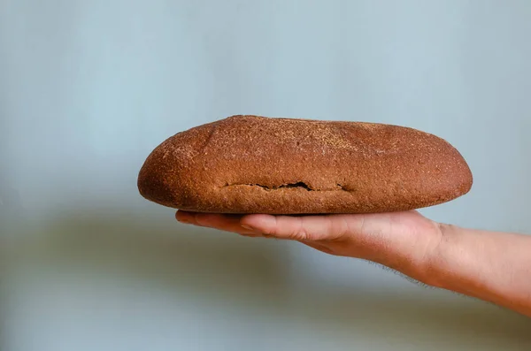 手拿着一块黑麦面包 右手拿着一块椭圆形的手工面包的人的右手男性欧洲种族 45岁 烤面包 — 图库照片