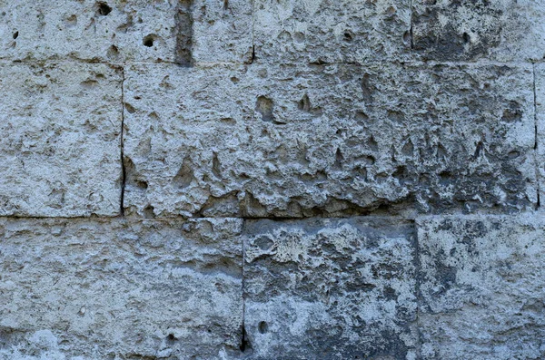 Antico Guscio Muro Esterno Pietra Primo Piano Mattoni Con Stampo — Foto Stock