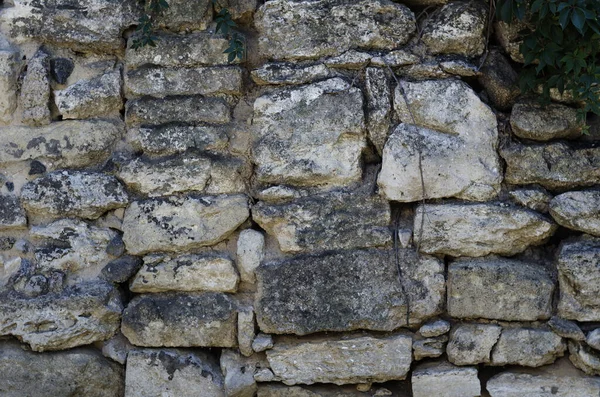 Antique Shell Stone Exterior Wall Close Building Blocks Black Mold — Stock Photo, Image