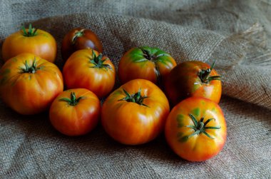 Sarı domatesler yaklaşsın. Bir grup olgun sebze çuvalı. Özel bir çeşit domates. Tarım işi. Seçici odak.