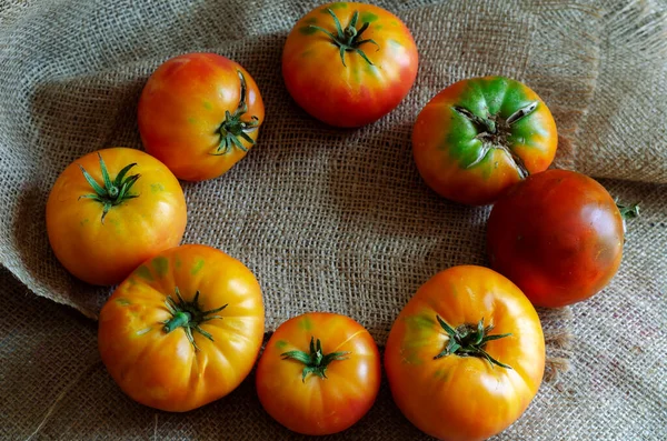 Mogna Tomater Olika Sorter Läggs Cirkel Samma Gång Demonstration Skörden — Stockfoto