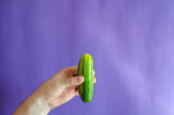 Grön Gurka Handen Blå Bakgrund Vuxen Mans Hand Håller Färsk — Stockfoto