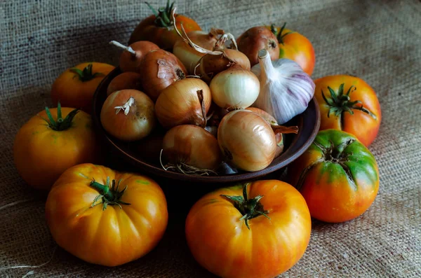 Tomates Amarelos Cebolas Alho Serapilheira Colheita Verduras Outono Resultado Trabalho — Fotografia de Stock