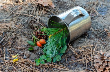 Üzerinde bitki çayı bulunan metal bir kupa yere ters dönmüş. Çelik bardak, dikenli çilekten yapılmış çay ve ormandaki çeşitli otlar. Seçici odak.