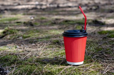 Kapaklı kırmızı kağıt kahve fincanı ve pipet içmek. Yosun ve çam iğneleri arasında sıcak içecekler için tek kullanımlık bir bardak. Seçici odaklanma. Boşluğu kopyala.