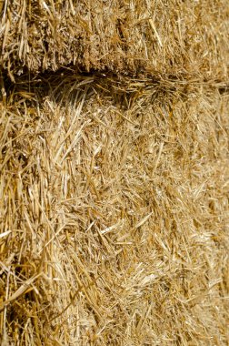 Dikdörtgen balyalarda kuru saman dokusu. Dikdörtgen şeklinde saman balyalarını yakın çekim. Doğal çoklu görev geçmişi. Çiftçilik ve tarım..