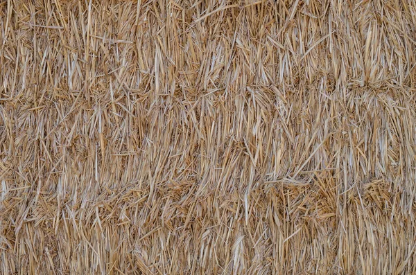 Texture Dry Straw Rectangular Bales Close Rectangular Bales Straw Natural — Stock Photo, Image