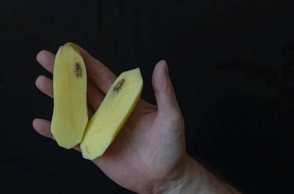 Mão Homem Maduro Segura Batatas Cruas Com Parte Podre Verdura — Fotografia de Stock