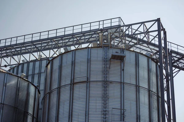 Construcción Almacén Granos Metálicos Silos Cilindro Para Cultivos Trigo Maíz — Foto de Stock