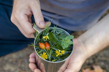 Elinde bitkisel çay olan metal bir kupa. Gül kalçalarındaki bitki çayı ve paslanmaz çelik bardaktaki çeşitli otlar. Yürüyüş konsepti. Seçici odak.