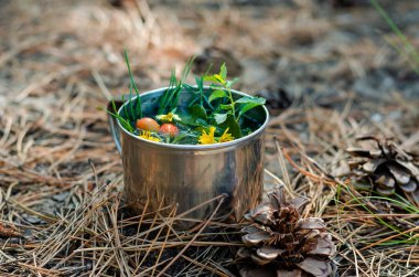 Ormandaki iğne ve kozalakların arasında bitki çayıyla dolu metal bir kupa. Gül kalçalarındaki bitki çayı ve paslanmaz çelik bardaktaki çeşitli otlar. Yürüyüş konsepti. Seçici odak.
