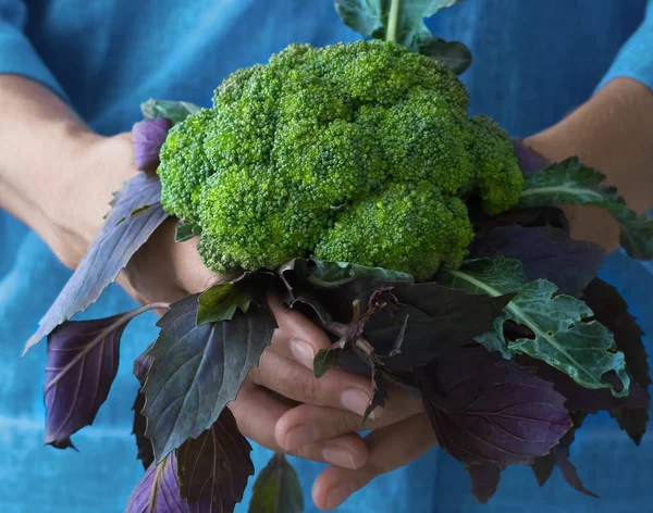 Karfiol fej levelek kezében egy nő gazda. A koncepció a növekedés és a gazdag termés. Vezetője karfiol a kezében — Stock Fotó