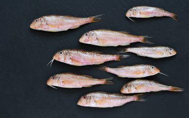 Taze kırmızı kefal siyah bir taş arka plan üzerinde yer almaktadır. Yukarıdan görüntüleyin. Deniz balığı.