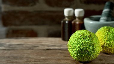 Maclura pomifera ağacının meyvesi ya da ahşap bir masada at elması. Tıbbi kullanım için adem elması, meyve kesmek için havan topu ve bir şişe Maclura tentürü. Kopyalama alanı ile yakın plan