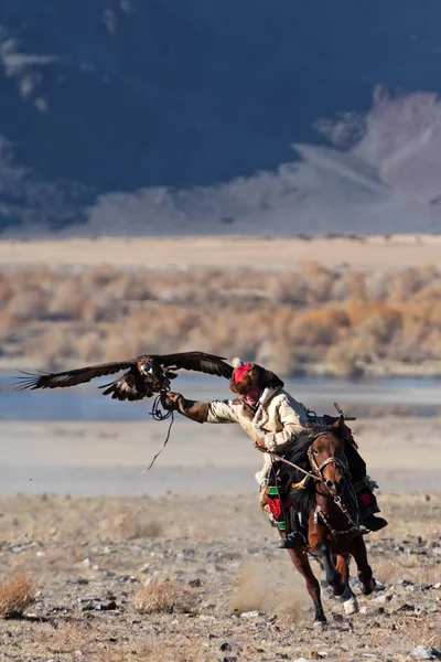バヤン ウルギー モンゴル 2018 ゴールデン イーグルと不明な猟師鷹狩りで彼の経験を示しています — ストック写真