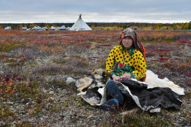 Nomad camp, Yamal peninsula, Russia-September 22, 2018: Housewife of nomad tribe takes a rest in front of camp with her reindeer laika.  clipart