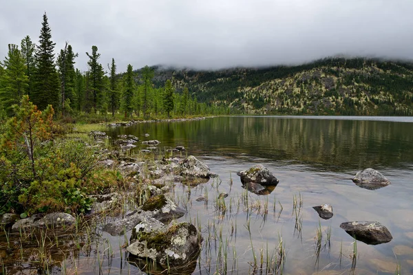 Deštivý Den Marankul Jezero Oblast Národního Parku Y22 Sibiř — Stock fotografie