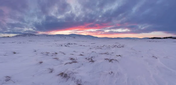 Terra Esperança Localização Tunda Ártica Península Yamal Paisagem Inverno — Fotografia de Stock