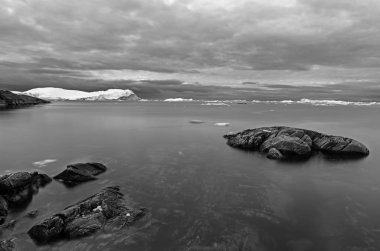 Grönland vahşi kıyı şeridi. Siyah beyaz fotoğraf.. 