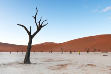 Deadvlei tavasındaki gezgin silueti, Namibya Çölü