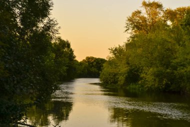 Akşamları, şehrimde nehirde gün batımını çekmeyi severim. Nehirde gün batımı, Ulyanovsk