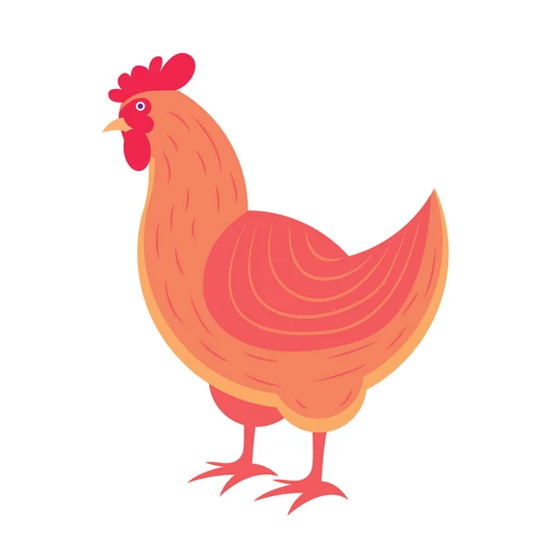 Illustration vectorielle debout poule mignonne — Image vectorielle