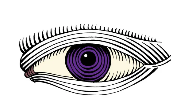 Hand drawn eye drawing line art color — Stock Vector