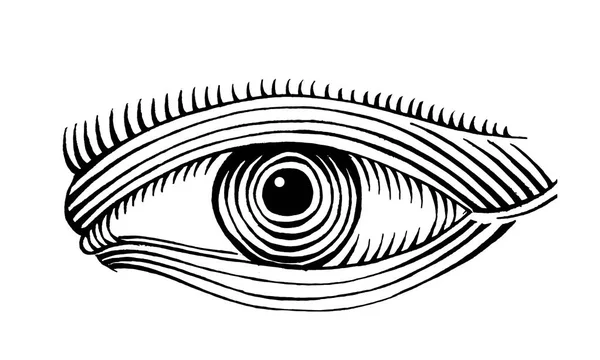 Hand drawn eye drawing line art — Stock Vector
