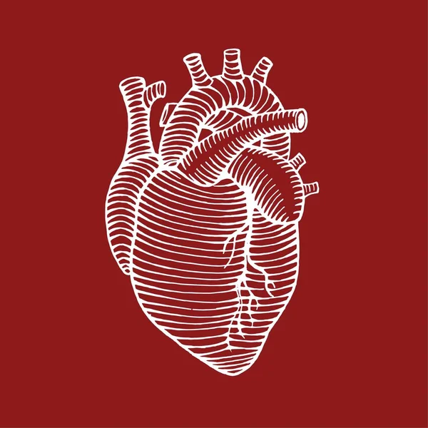 Ilustracja kolory ludzki odwrócony rysunek ręka serce — Wektor stockowy
