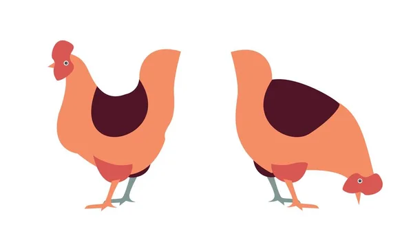 Gallinas ilustradas simples de pie — Vector de stock