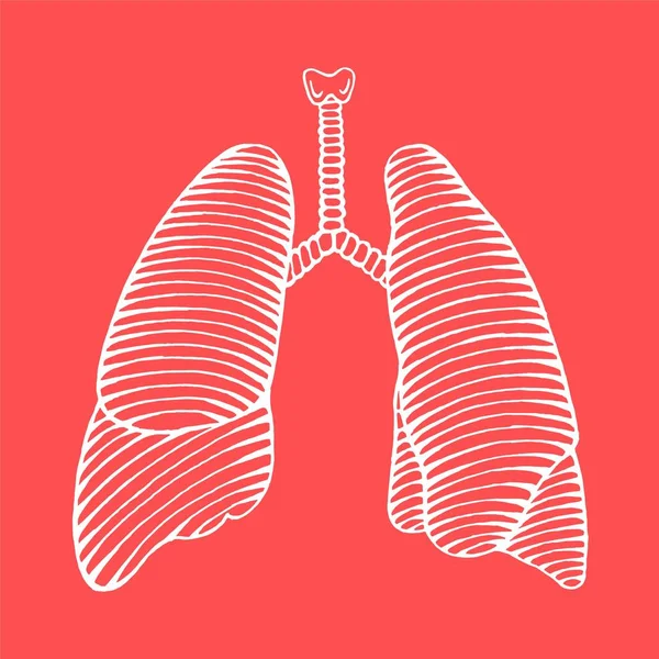 Ilustración pulmonar humana dibujada a mano reversa — Archivo Imágenes Vectoriales
