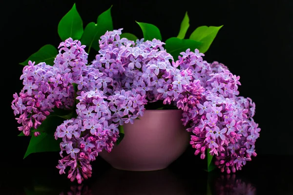 Bouquet of lilac flowers in a lilac vase on a black background