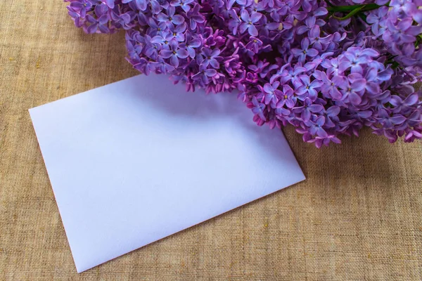 Lilac flowers in a lilac vase and an envelope with a place for an inscription. Postcard. Copy space
