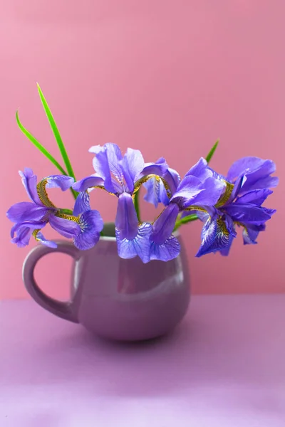 A bouquet of blue iris flowers in a small lilac cup on a gentle pink background.