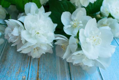 Masada kokulu yasemin buketi