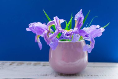 Mavi bir arka plan üzerinde küçük bir leylak fincan mavi irises bir buket.