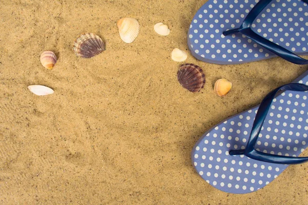Blue Flip Flops Seashells Beach Sand Royalty Free Stock Photos