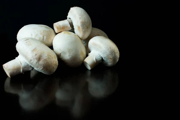 Cogumelos Champignon Brancos Fundo Preto Espaço Cópia — Fotografia de Stock