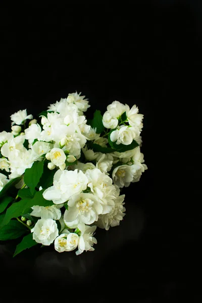 Fragrant jasmine bouquet on a black background.Copy space