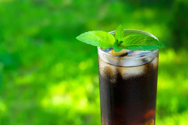 Glass Cola Ice Mint Leaves Background Fresh Green Grass Concept — Stock Photo, Image