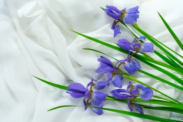 Flor Iris Azul Sobre Una Delicada Tela Blanca Sobre Mesa — Foto de Stock