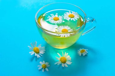 Mavi arka planda bir fincan papatya çayı. Tedavi edici bitkisel çay. Faydalı çay.