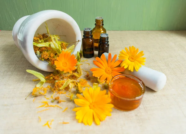 Produção Cosméticos Naturais Flores Medicinais Calêndula Camomila Hortelã Tintura Ervas — Fotografia de Stock