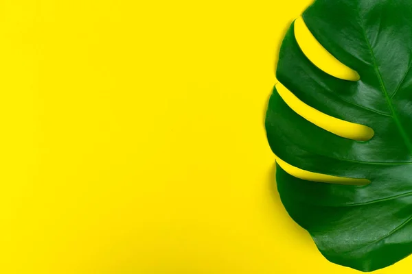 Tropische Blätter Monstera Blume Auf Gelbem Hintergrund Kreative Anordnung Dieser — Stockfoto