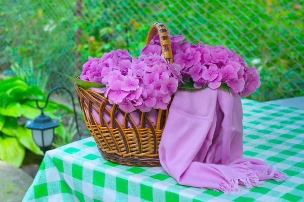 Pink hydrangea blooms in a wicker basket on a table in the garden. The concept of summer recreation.