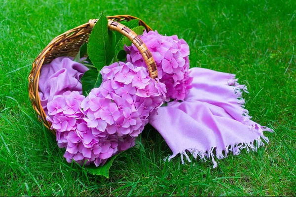 Pink hydrangea flowers in a wicker basket on lush green grass.