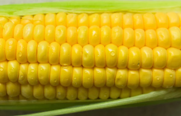 Primo Piano Mais Dolce Giallo Fresco Concetto Cibo — Foto Stock