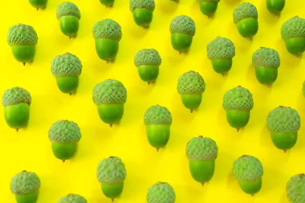 Acorns pattern lined up on a yellow background. Top view, flat lay. Creative layout of acorns.